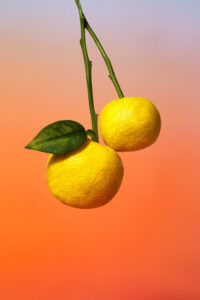 femmesmagazine-On part à la plage avec le nouveau Parfum de Louis Vuitton